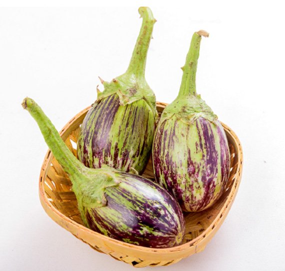 brinjal-204