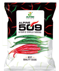 chilli-pk-509