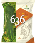 cucumber-636