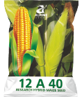 maize-12a40