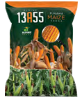 maize-13a55