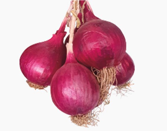 onion-53