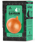 onion-gavran